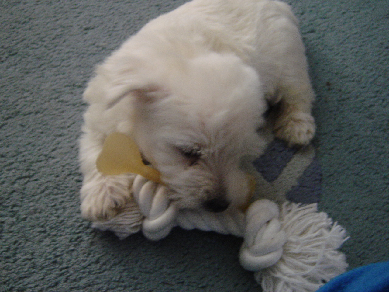 DSC01723.JPG