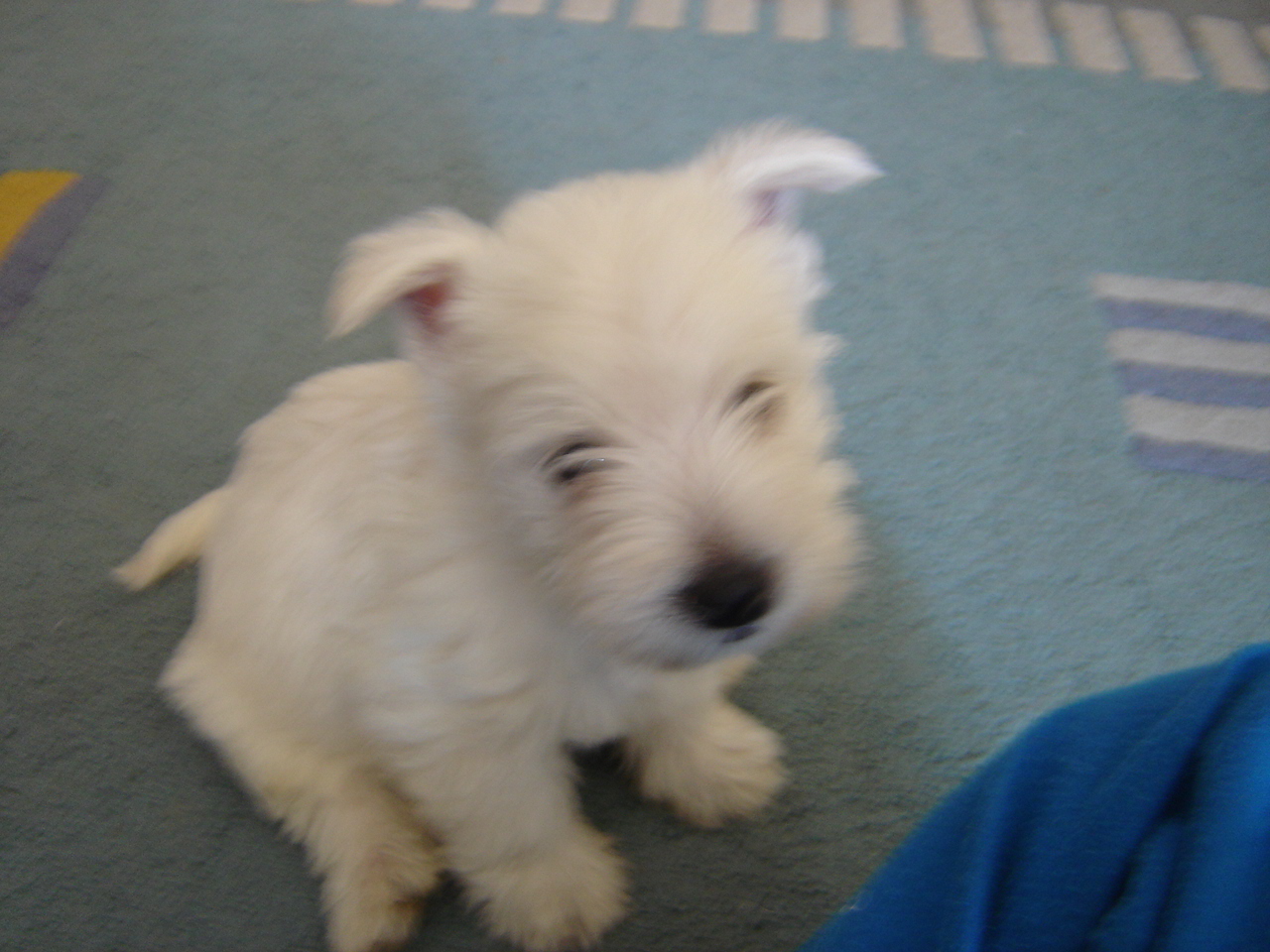 DSC01750.JPG