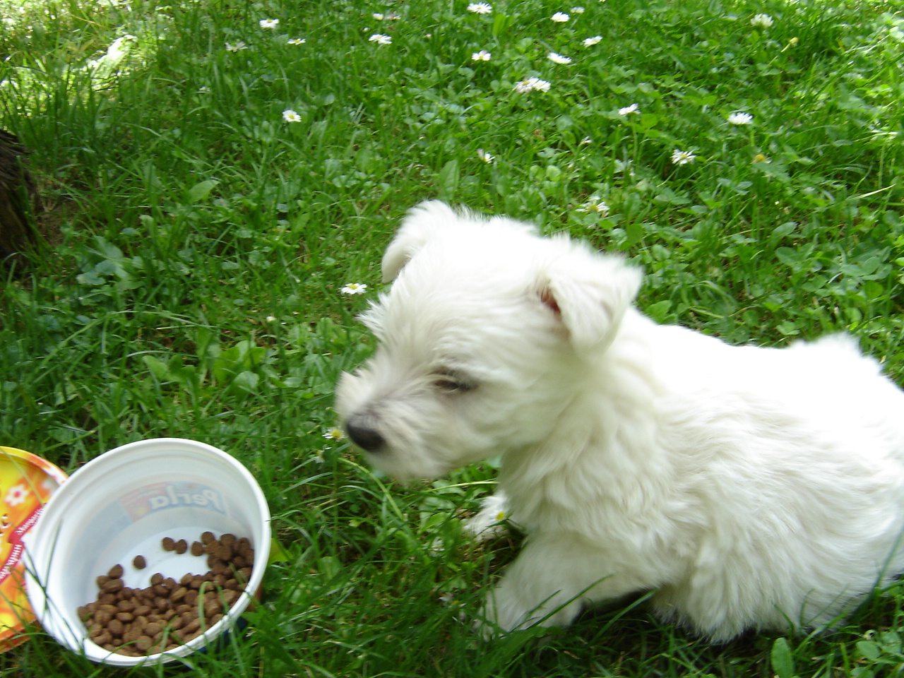 DSC01766.JPG