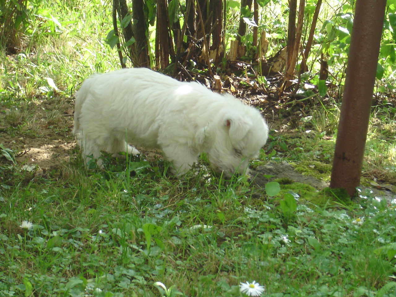 DSC01767.JPG