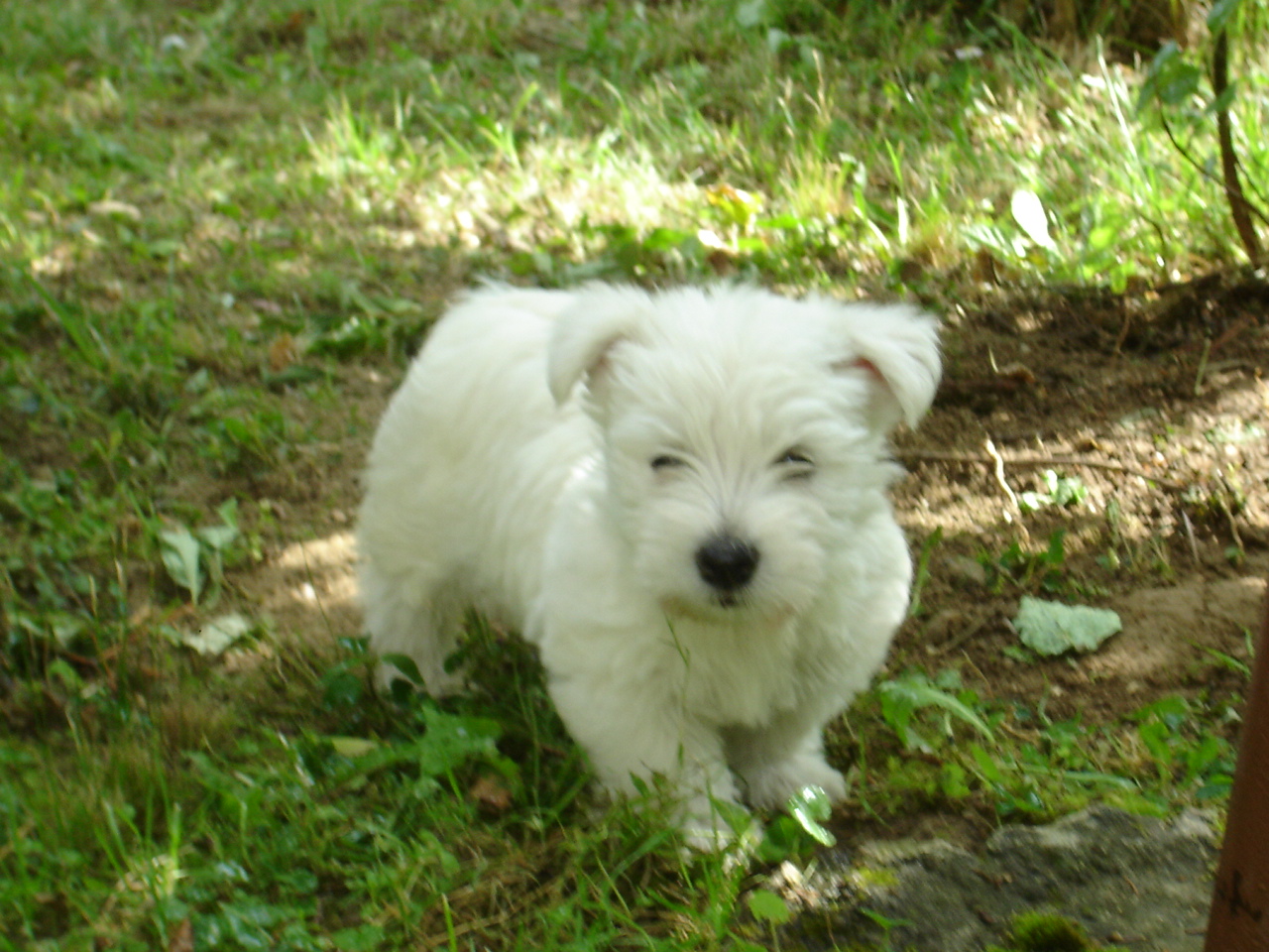 DSC01768.JPG